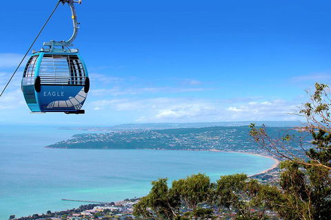 Peninsula Hot Springs Tour With Restaurant Lunch & Gondola Ride - Attractions Sydney 1