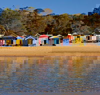 Mornington Peninsula Small Group day tour - Attractions Sydney