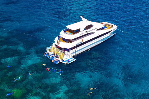 Great Barrier Reef Snorkeling And Diving Cruise From Cairns - Attractions Sydney 5