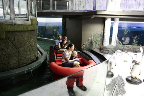 Sydney Attractions Pass: SEA LIFE Aquarium, Sydney Tower Eye, WILD LIFE Zoo And Madame Tussauds - Attractions Sydney 0