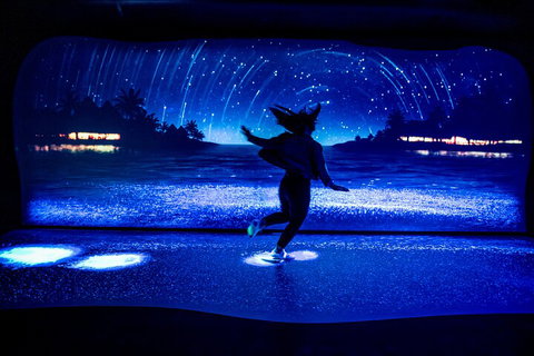 SEA LIFE Sydney Aquarium Entrance Ticket - Attractions Sydney 3