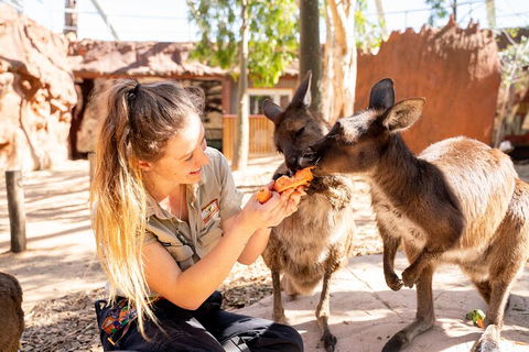 WILD LIFE Sydney Entrance Ticket - Attractions Sydney 5