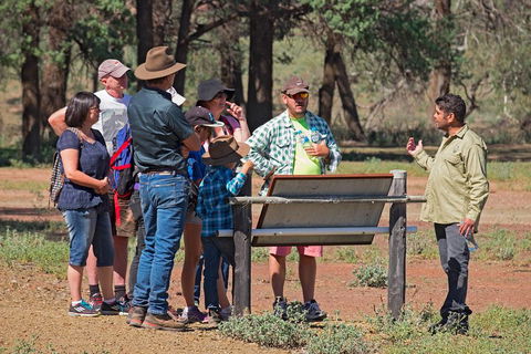 Yura Udnyu - Our Culture, Your Culture (Aboriginal Cultural Walk) - Attractions Sydney 2