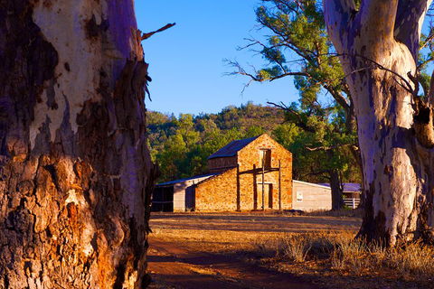 Yura Udnyu - Our Culture, Your Culture (Aboriginal Cultural Walk) - Attractions Sydney 4
