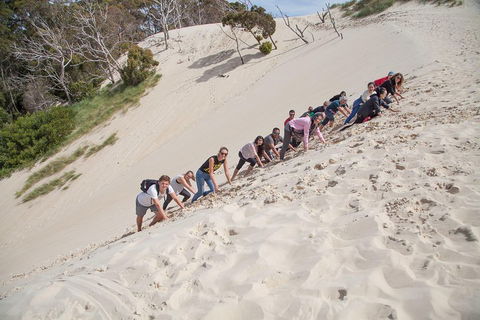6-Day Tasmanian Explorer Adventure Tour From Hobart - Attractions Sydney 2