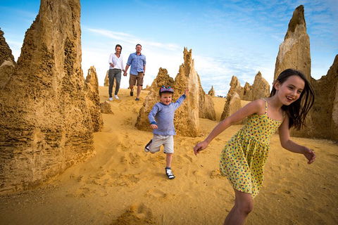 Full-Day Pinnacles Desert And Yanchep National Park Tour From Perth - Attractions Sydney 0