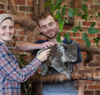 Private Tour Blue Mountains Day Trip from Sydney - Attractions Sydney