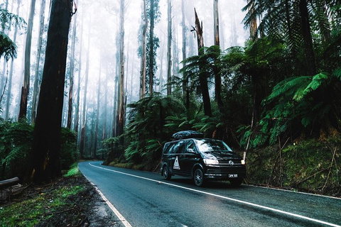 Small Group: Mornington Peninsula Hike And Hot Springs Day Tour From Melbourne - Attractions Sydney 3