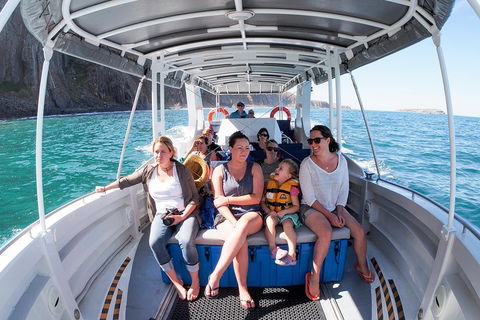 Seal Island Boat Tour From Victor Harbor - Attractions Sydney 1