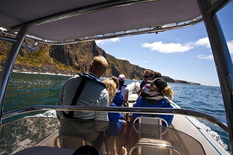 Seal Island Boat Tour From Victor Harbor - Attractions Sydney 2