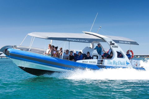 Seal Island Boat Tour From Victor Harbor - Attractions Sydney 3