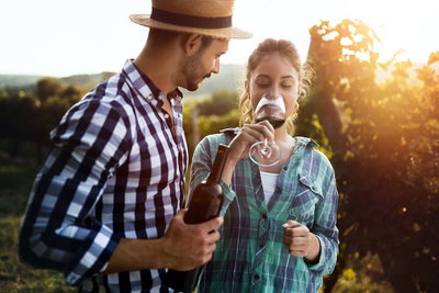 Luxury Hunter Valley Wildlife Wine  Vodka Tasting Tour from Sydney