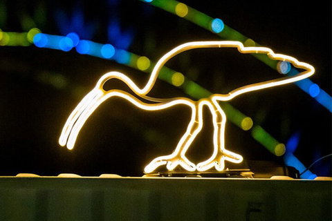 Walk The Lights â€”Â A VIVID Festival Walking Tour - Attractions Sydney 2