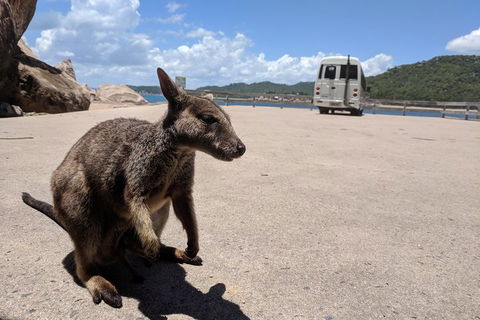 Magnetic Island Tour: Maggie Comprehensive - Attractions Sydney 0