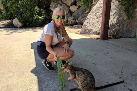 Magnetic Island Tour: Maggie Comprehensive - Attractions Sydney 2