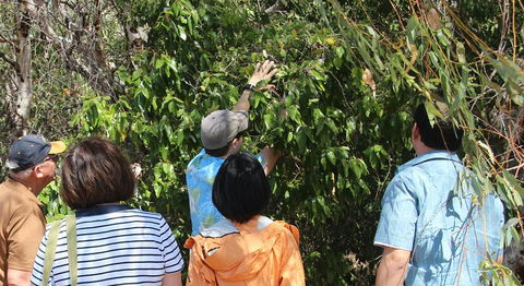 Magnetic Island Tour: Maggie Comprehensive - Attractions Sydney 4