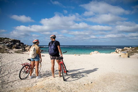 Experience Rottnest With Ferry & Bike Hire From Perth Or Fremantle - Attractions Sydney 5