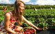 Mornington Peninsula Day Trip From Melbourne - thumb 0