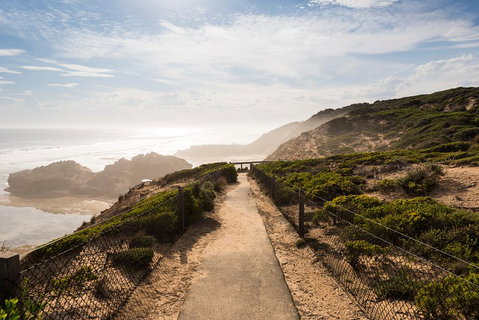 Mornington Peninsula Day Trip From Melbourne - Attractions Sydney 4