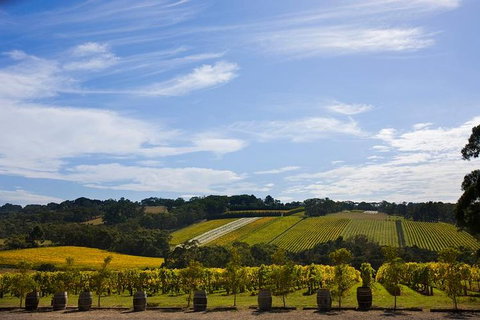 Mornington Peninsula Day Trip From Melbourne - Attractions Sydney 5