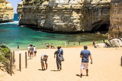 Small-Group Great Ocean Road Classic Day Tour From Melbourne - Attractions Sydney 5