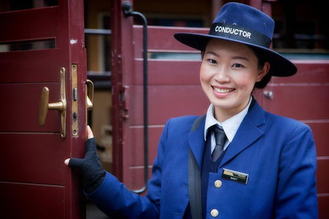 Puffing Billy, Moonlit Sanctuary & Penguins Day Tour - Attractions Sydney 1
