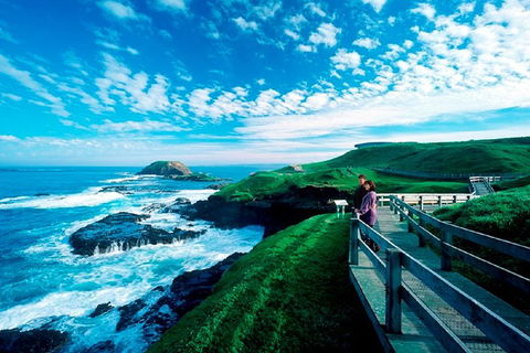 Puffing Billy, Moonlit Sanctuary & Penguins Day Tour - Attractions Sydney 2
