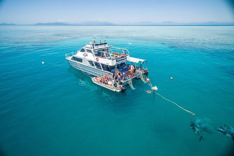 Ocean Freedom Great Barrier Reef Personal Luxury Snorkel & Dive Cruise, Cairns - Attractions Sydney 0