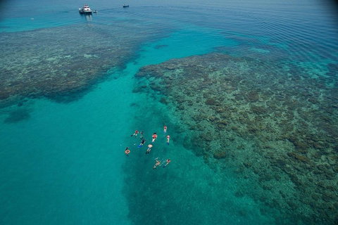 Ocean Freedom Great Barrier Reef Personal Luxury Snorkel & Dive Cruise, Cairns - Attractions Sydney 3