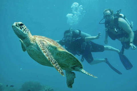 Ocean Freedom Great Barrier Reef Personal Luxury Snorkel & Dive Cruise, Cairns - Attractions Sydney 4