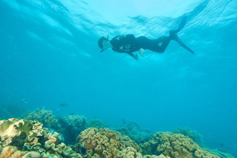 Ocean Freedom Great Barrier Reef Personal Luxury Snorkel & Dive Cruise, Cairns - Attractions Sydney 5