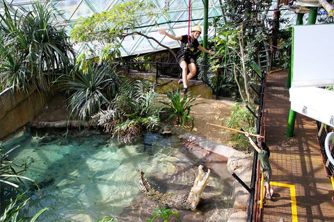 Cairns ZOOM And Wildlife Dome - Attractions Sydney 5