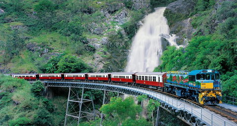 Classic Kuranda By Skyrail And Scenic Railway Including Rainforestation, Koala And Wildlife Park And Pamagirri Aboriginal Experi - Attractions Sydney 1