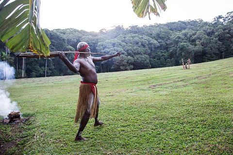 Classic Kuranda By Skyrail And Scenic Railway Including Rainforestation, Koala And Wildlife Park And Pamagirri Aboriginal Experi - Attractions Sydney 5