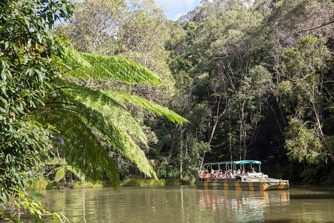 Best Of Kuranda Including Skyrail, Kuranda Scenic Railway And Rainforestation - Attractions Sydney 5