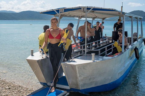 Fitzroy Island Day Trip From Cairns - Attractions Sydney 5