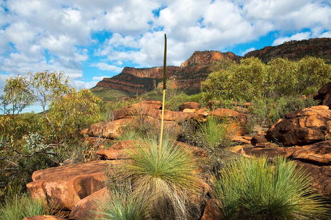 6-Day Eyre Peninsula & Flinders Ranges Adventure Tour - Attractions Sydney 1