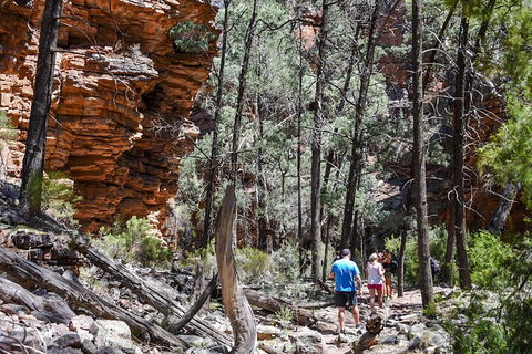 6-Day Eyre Peninsula & Flinders Ranges Adventure Tour - Attractions Sydney 5