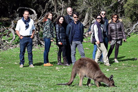 2-Day Kangaroo Island 4WD Small-Group Tour From Adelaide - Attractions Sydney 1