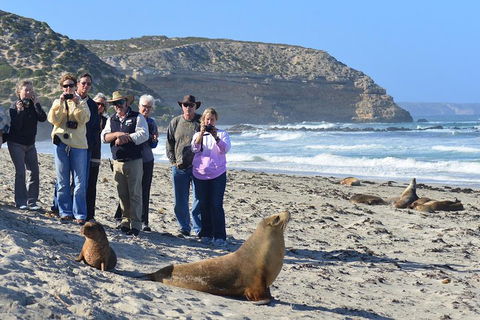 2-Day Kangaroo Island 4WD Small-Group Tour From Adelaide - Attractions Sydney 3