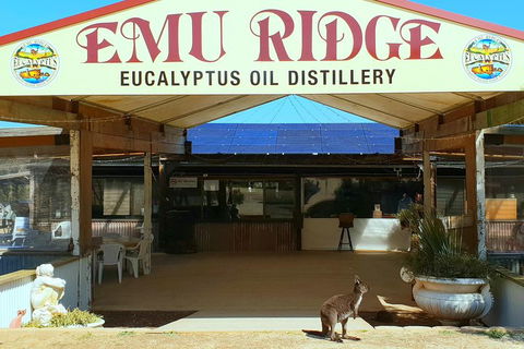 2 Day Ultimate Kangaroo Island With Return Ferry - Attractions Sydney 3