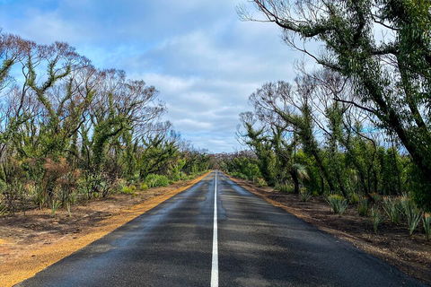 2 Day Ultimate Kangaroo Island With Return Ferry - Attractions Sydney 4