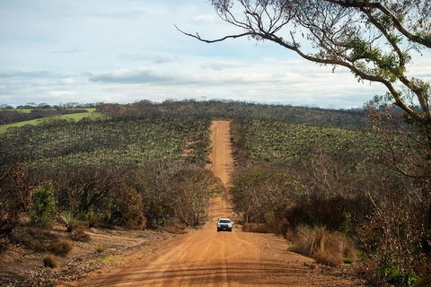 NEW TOUR - Kangaroo Island Road To Recovery Tour (1 Day/1 Night) - Attractions Sydney 2