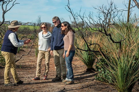 NEW TOUR - Kangaroo Island Road To Recovery Tour (1 Day/1 Night) - Attractions Sydney 4