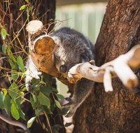 Melbourne City Tour and Phillip Island in One Day - Attractions Sydney