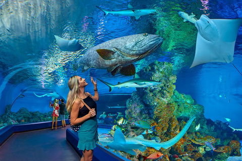 Cairns Aquarium Admission Ticket - Attractions Sydney 3