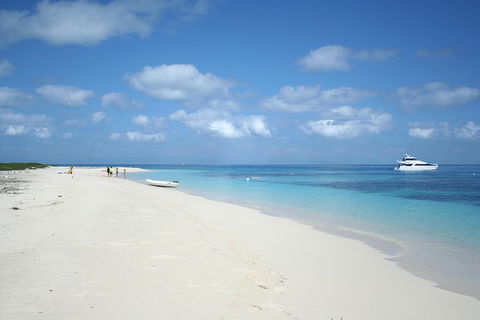 Seastar Luxury Outer Great Barrier Reef Island And Reef Tour From Cairns - Attractions Sydney 3