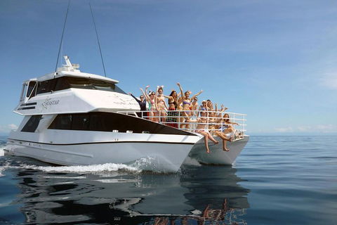 Seastar Luxury Outer Great Barrier Reef Island And Reef Tour From Cairns - Attractions Sydney 4