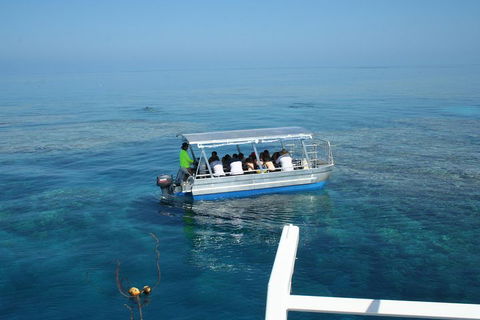 Seastar Luxury Outer Great Barrier Reef Island And Reef Tour From Cairns - Attractions Sydney 5