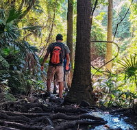 Hike to the Figure Eight Pools - Attractions Sydney